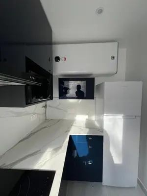 Cuisine ou kitchenette dans l'établissement Appartement Paris 19