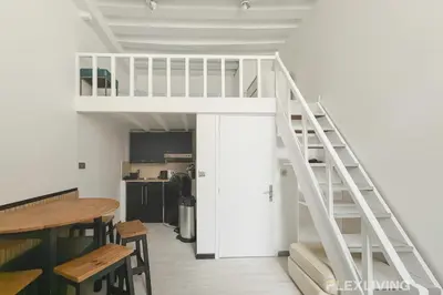 Cuisine ou kitchenette dans l'établissement Charmant studio dans Paris 04ème