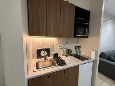 Cuisine ou kitchenette dans l'établissement Charmant appartement avec chambre cosy et canapé convertible