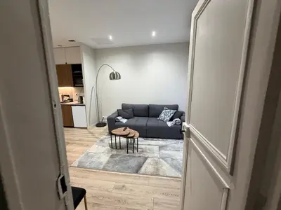 Coin salon dans l'établissement Charmant appartement avec chambre cosy et canapé convertible