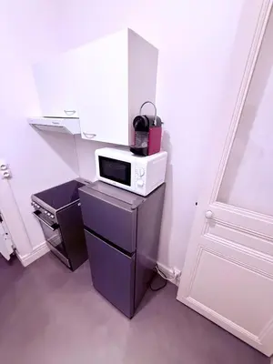 Cuisine ou kitchenette dans l'établissement Paris Saint Germain-des-Prés Élégant Deux pièces tout équipé