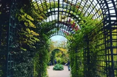 Jardin de l'établissement chambre dans appartement avec balcon vie animée et restos