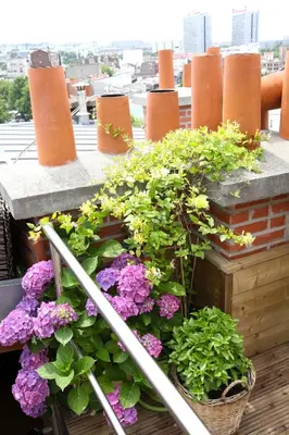 Balcon ou terrasse dans l'établissement Le Rooftop Aux Puces - Terrasse rooftop