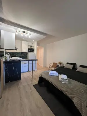 Cuisine ou kitchenette dans l'établissement Apartment elegant and modern fully equipped near Paris