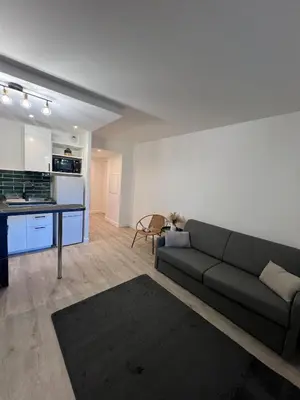 Cuisine ou kitchenette dans l'établissement Apartment elegant and modern fully equipped near Paris
