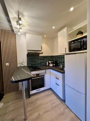 Cuisine ou kitchenette dans l'établissement Apartment elegant and modern fully equipped near Paris