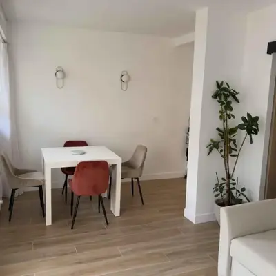 Apartment with terrace near the Champs-Élysées