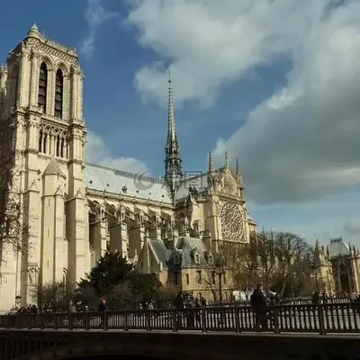 A Cozy Parisian Nest by Notre Dame