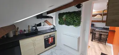 Cuisine ou kitchenette dans l'établissement Cozy Loft sous les toits