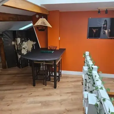 Cozy Loft sous les toits