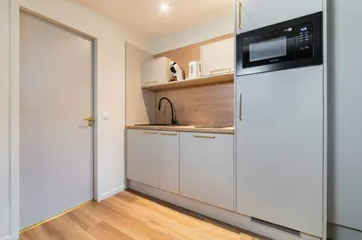 Cuisine ou kitchenette dans l'établissement Studio charmant ile saint louis Paris 4 - 2P