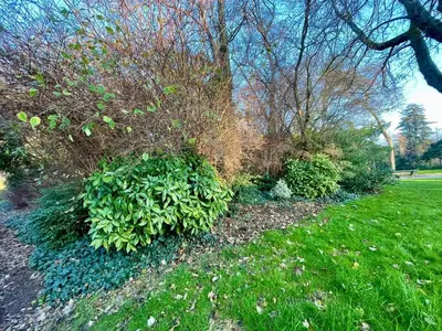 Jardin de l'établissement Parc Montsouris Paris