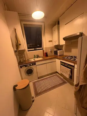 Cuisine ou kitchenette dans l'établissement Authentic Parisian apartment 12th arrondissement