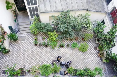 Jardin de l'établissement Studio au centre de Paris