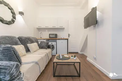 Télévision ou salle de divertissement dans l'établissement Beautiful 2persons apartment Montparnasse - Commandeur