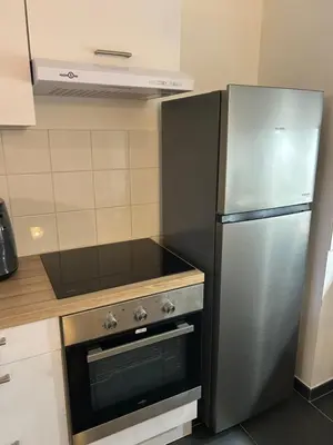 Cuisine ou kitchenette dans l'établissement Appartement familial Proche Paris parking privée