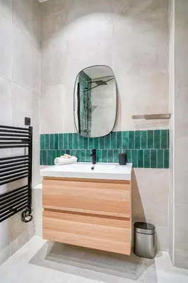 Salle de bains dans l'établissement Charming Parisian loft for 2 to 4 people
