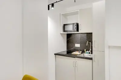 Cuisine ou kitchenette dans l'établissement Cozy studio in the Bastille neighborhood