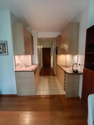 Cuisine ou kitchenette dans l'établissement Quiet Furnished Studio in Neuilly