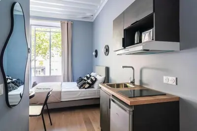 Cuisine ou kitchenette dans l'établissement Bright, air-conditioned studio in Paris 17