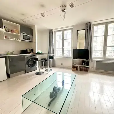 Modern and bright studio Bastille Le Marais
