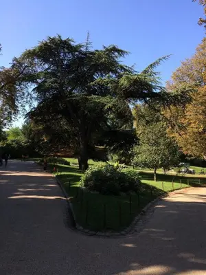 Jardin de l'établissement Villa Claude Monet - Buttes-Chaumont - La Mouzaïa -