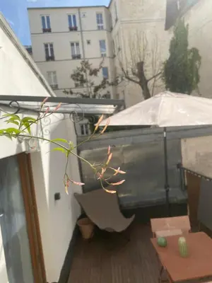 Plan de l'établissement Tiny house with terrace near Pantheon