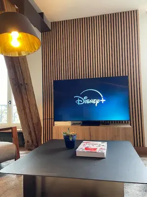 Télévision ou salle de divertissement dans l'établissement Appartement unique au coeur du marais