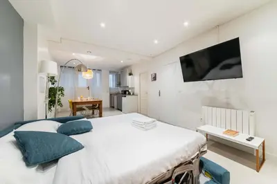 Télévision ou salle de divertissement dans l'établissement Loft moderne face jardin des plantes - 4P