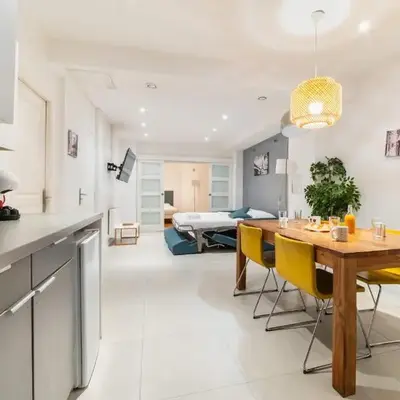 Loft moderne face jardin des plantes - 4P