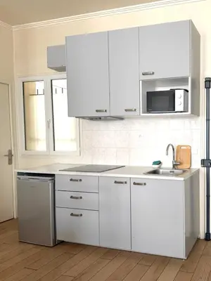 Cuisine ou kitchenette dans l'établissement Central Artistic Appartement - Paris 2e