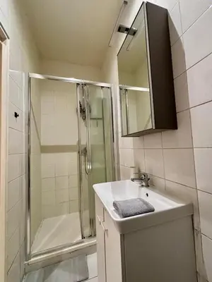 Salle de bains dans l'établissement Spacious Studio Flat 10 mins from Paris