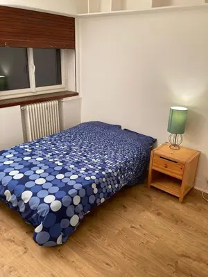 Un ou plusieurs lits dans un hébergement de l'établissement Rare Apartment with garden in perfect area, Paris Boulogne Billancourt