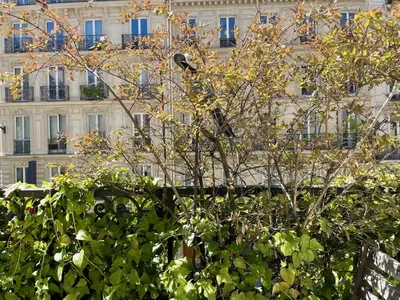 Jardin de l'établissement Parisian Home 2 bedrooms Montorgueil 090