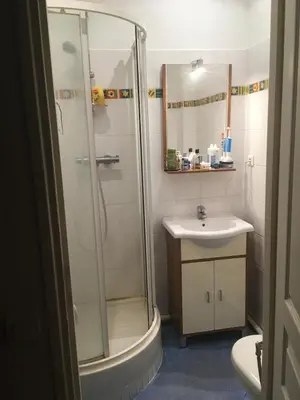 Salle de bains dans l'établissement Chambre calme et claire dans grand appartement avec douche