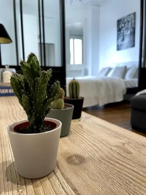 Un ou plusieurs lits dans un hébergement de l'établissement Superbe Appartement Palais Des Congres