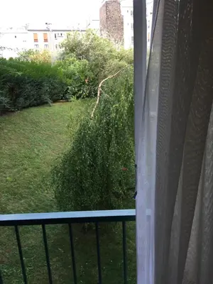 Jardin de l'établissement Charmant Studio Parisien