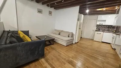 Cuisine ou kitchenette dans l'établissement MAGNIFIQUE LOFT ! MODERNE & PARISIEN QUARTIER EMILIE In PARIS ! NOTRE-DAME & PANTHEON !