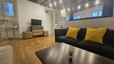 Télévision ou salle de divertissement dans l'établissement MAGNIFIQUE LOFT ! MODERNE & PARISIEN QUARTIER EMILIE In PARIS ! NOTRE-DAME & PANTHEON !