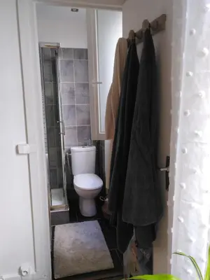 Salle de bains dans l'établissement Charming 2-room Haussmann-style apartment in Paris