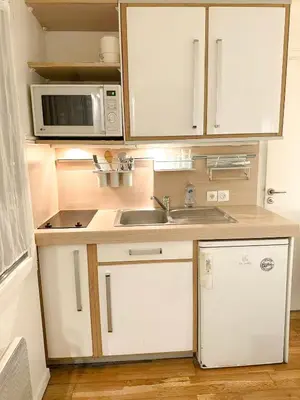 Cuisine ou kitchenette dans l'établissement Cozy Apartment in Paris's Latin Quarter