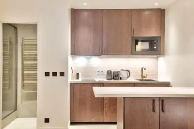 Cuisine ou kitchenette dans l'établissement Sublime refurbished studio