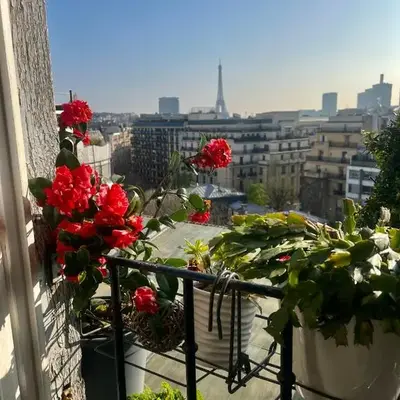 Petite Attique - avec vue sur la tour Eiffel