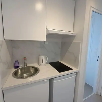 Cuisine ou kitchenette dans l'établissement Charmant studio Paris 13 avec ascenseur - 2P