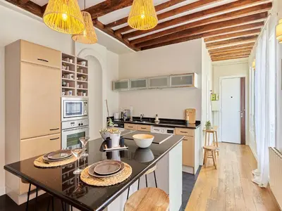 Cuisine ou kitchenette dans l'établissement Superb Apartment Center of Paris Le Marais