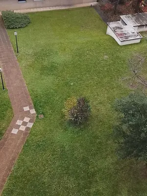 Jardin de l'établissement Perfect location for Roland Garros, soccer and rugby