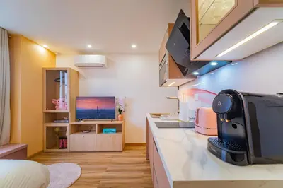 Cuisine ou kitchenette dans l'établissement Paris Homestay en Rose