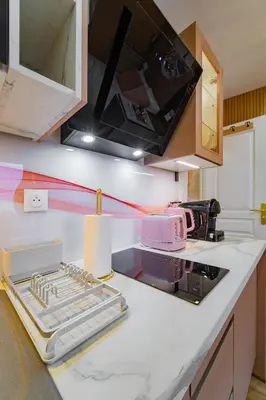 Cuisine ou kitchenette dans l'établissement Paris Homestay en Rose