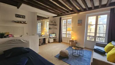 Télévision ou salle de divertissement dans l'établissement CHARMANT STUDIO EN PLEIN COEUR De PARIS QUARTIER MONTORGUEIL- JARDIN DU PALAIS ROYAL-MUSEE DU LOUVRE