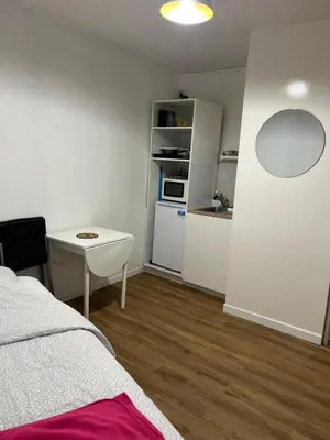 Cuisine ou kitchenette dans l'établissement Appartement paris 15